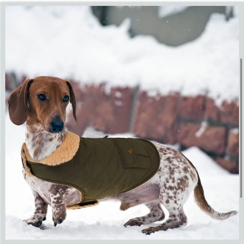 Queenmore Warm Coat For Cold Weather, Quilting Winter Jacket M/ 666/bb1